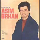 Asim Brkan