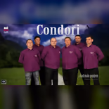 Condori