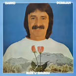 Darko Domijan