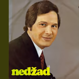 Nedžad Salković