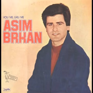 Asim Brkan