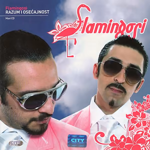 Flamingosi